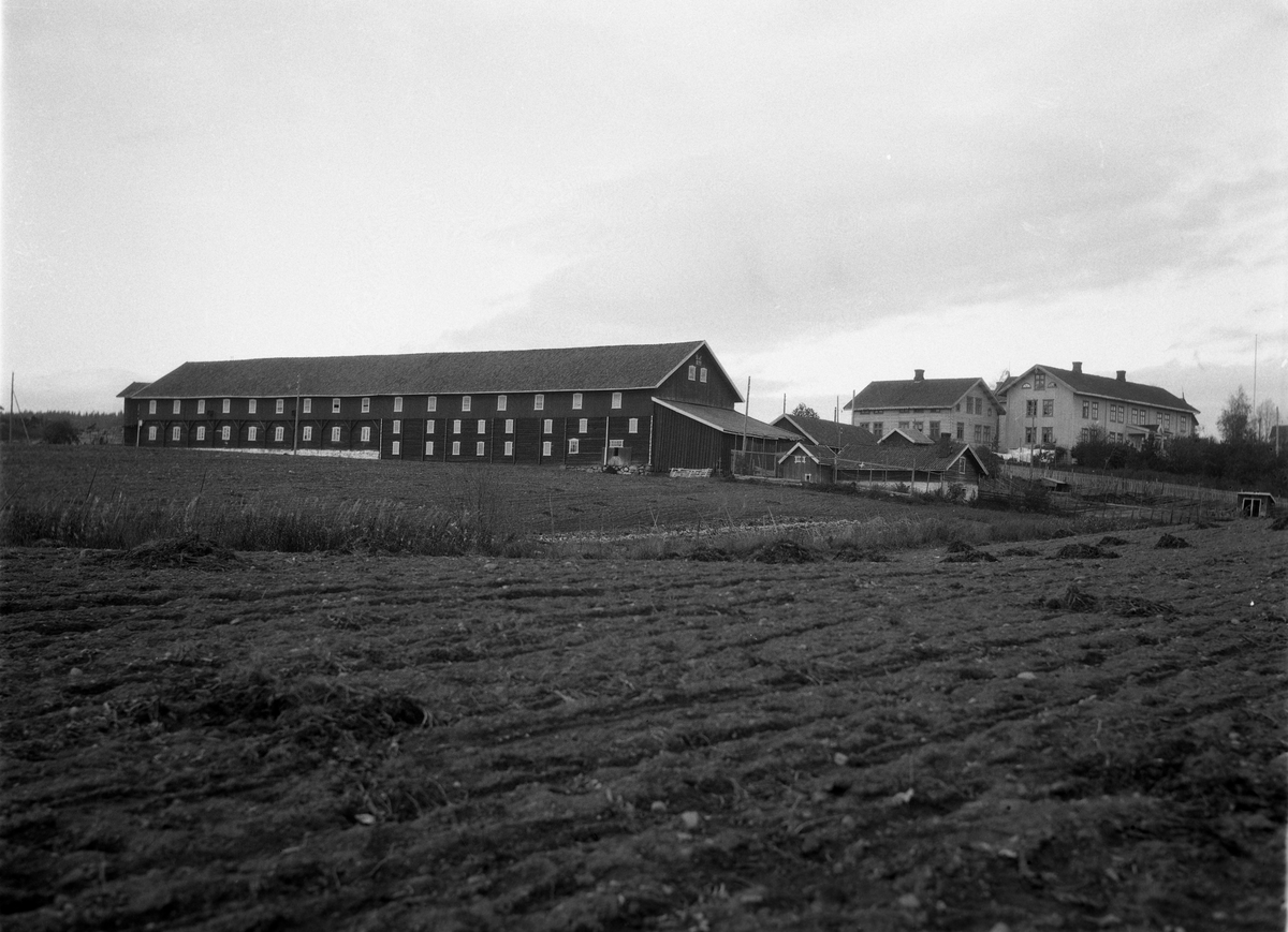 Historisk fotografi av Østre Seierstad med den store driftsbygningen og våningshusene